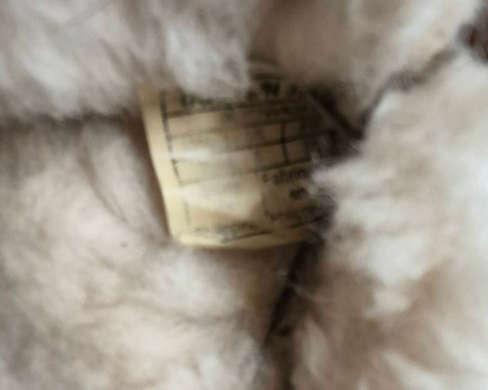 UGG - Picture 4 of 8